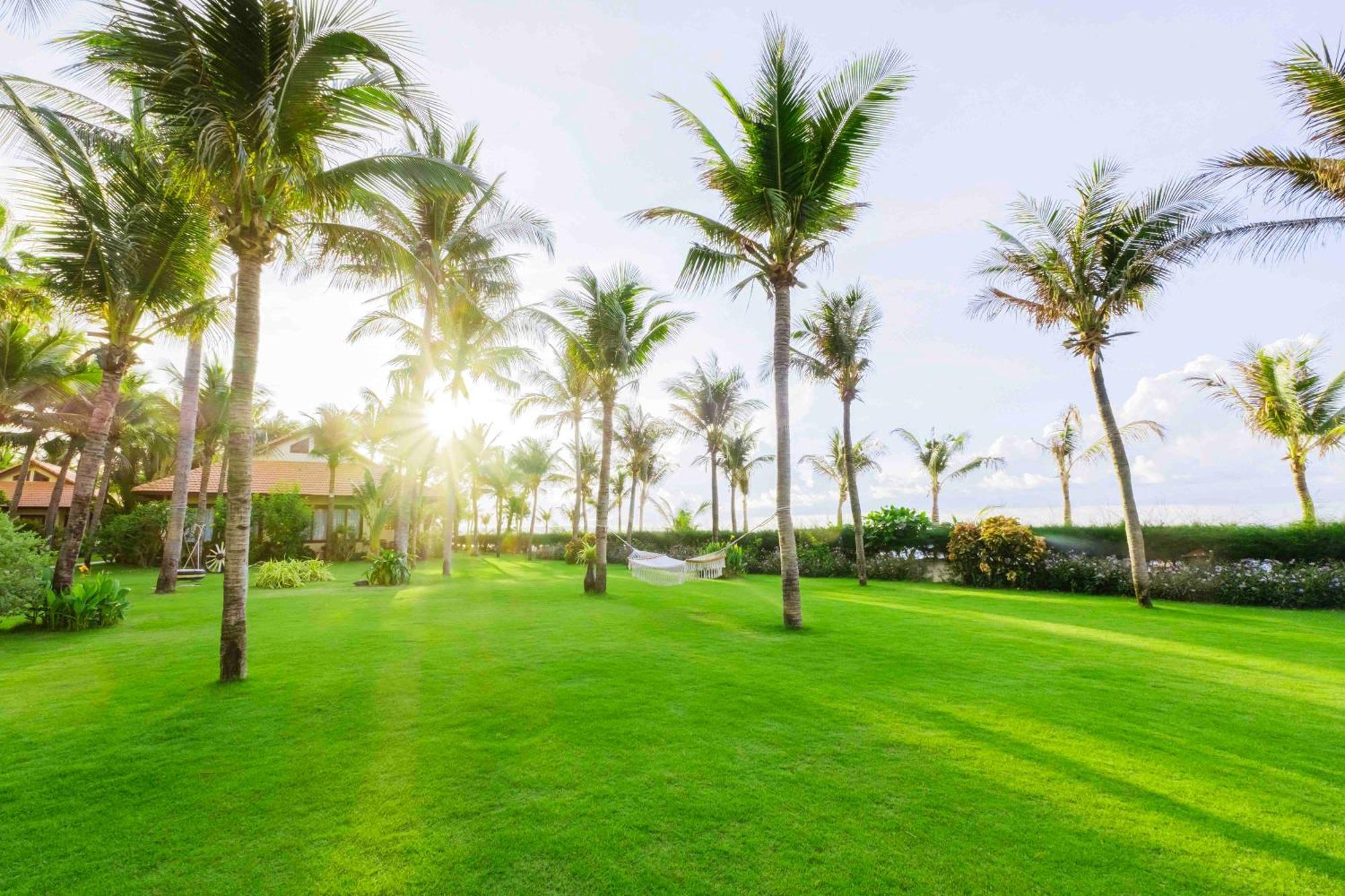 Sunny Beach Resort&Spa Phan Thiet Exterior foto